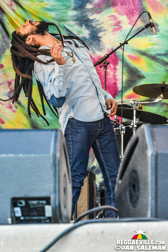 Julian Marley, Arise Roots