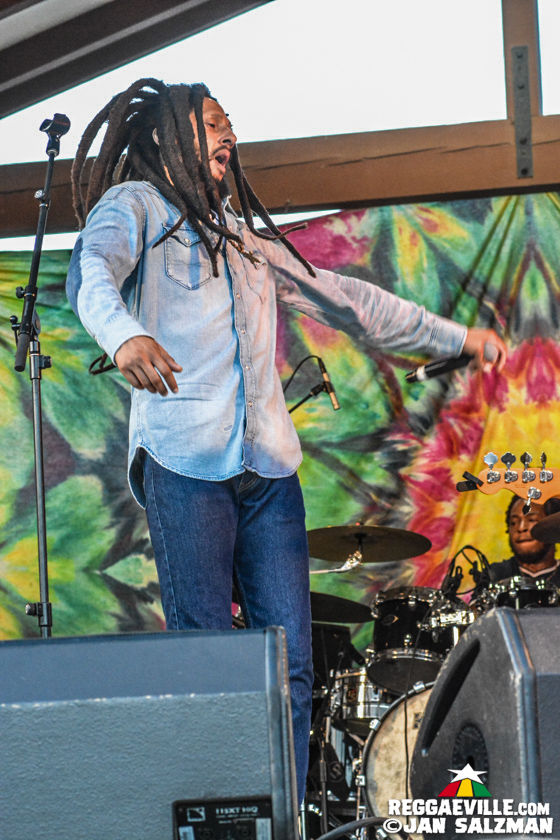 Julian Marley, Arise Roots