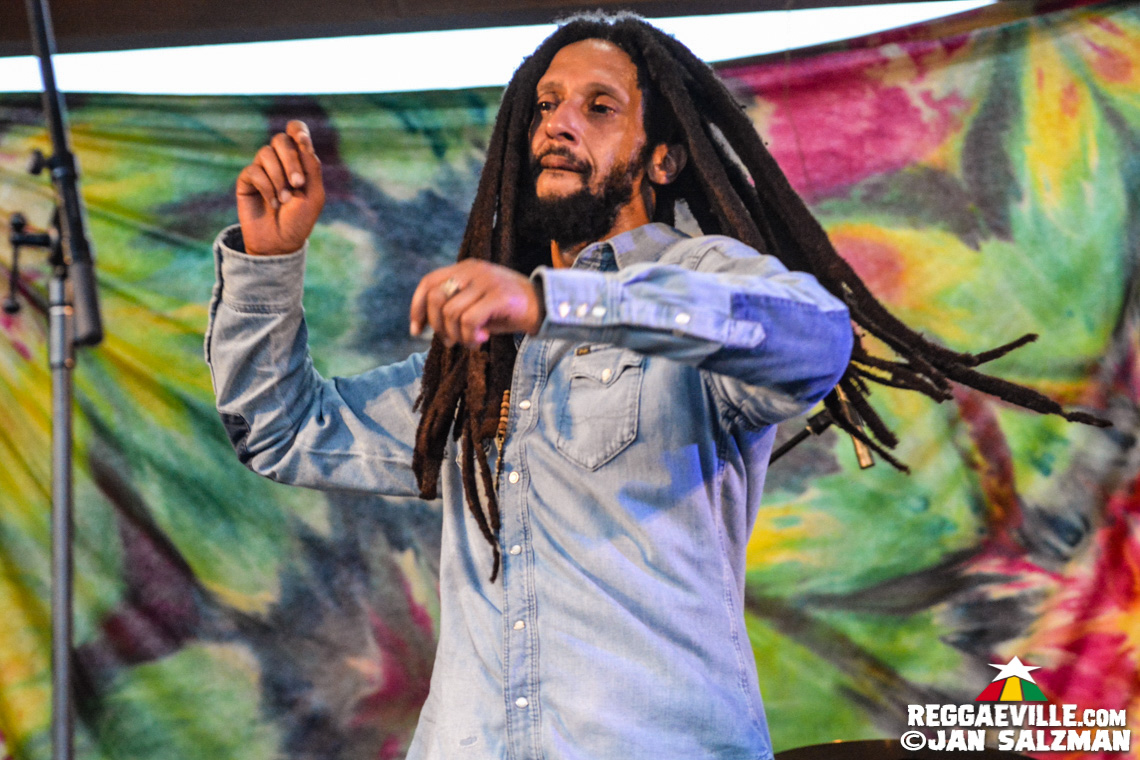 Julian Marley, Arise Roots
