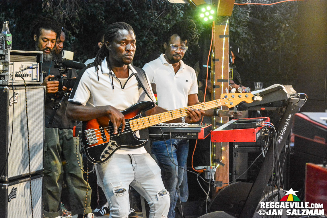 Julian Marley, Arise Roots