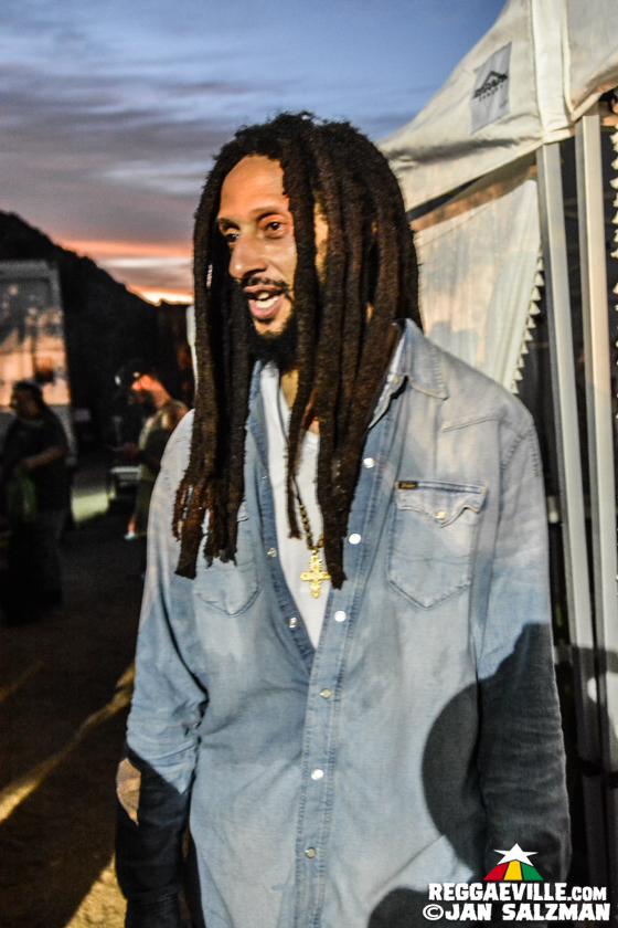Julian Marley, Arise Roots