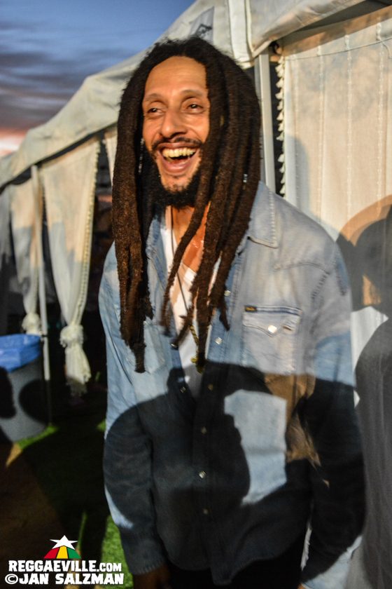 Julian Marley, Arise Roots