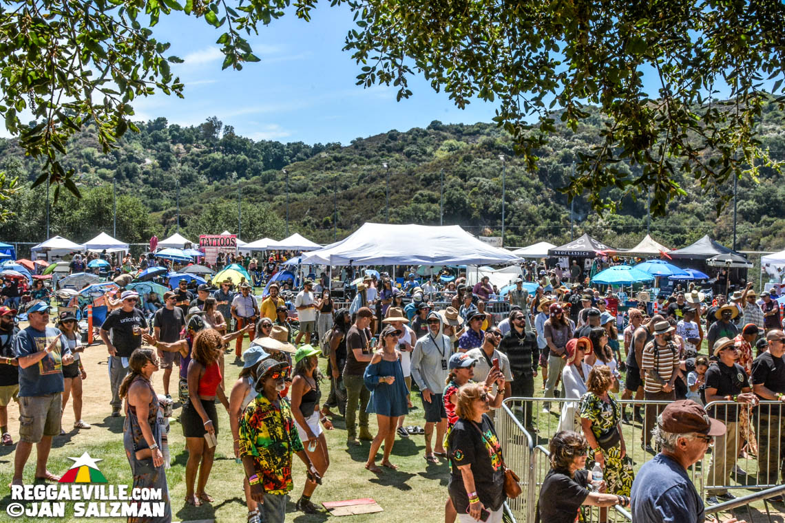 Julian Marley, Arise Roots