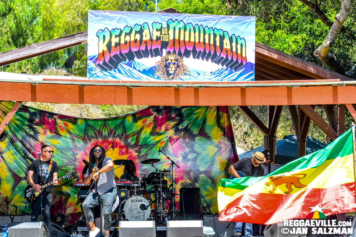 Julian Marley, Arise Roots