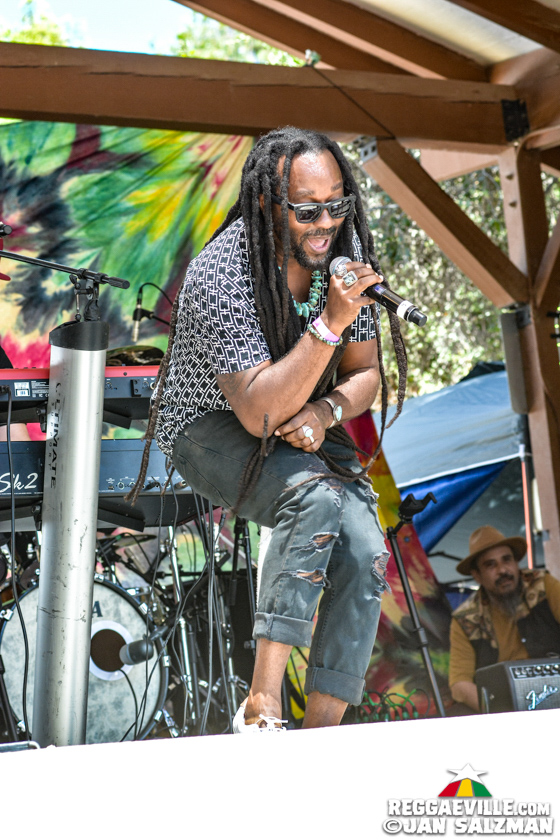 Julian Marley, Arise Roots