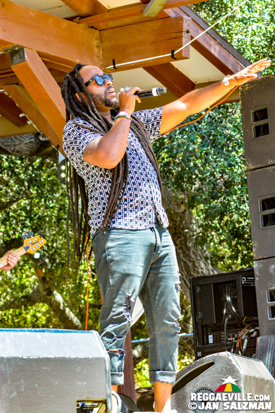 Julian Marley, Arise Roots