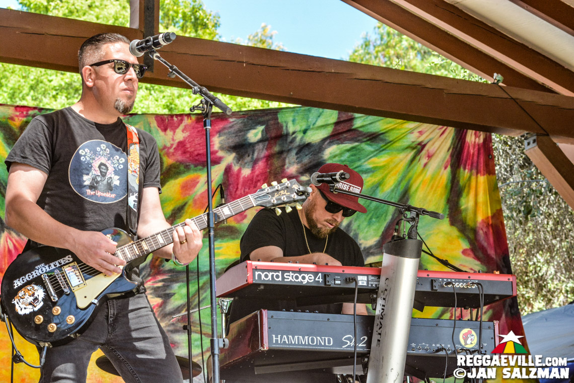 Julian Marley, Arise Roots