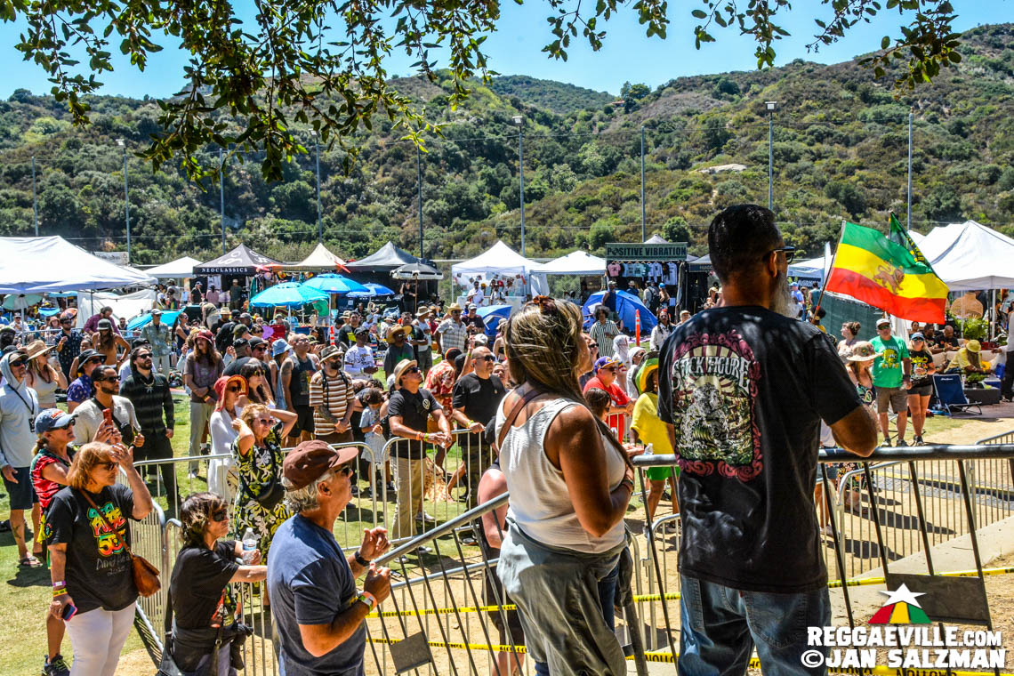 Julian Marley, Arise Roots