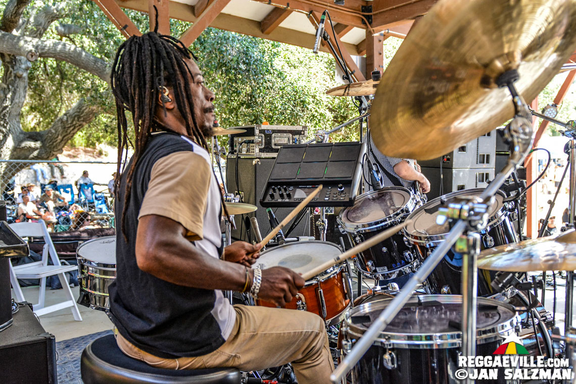 Julian Marley, Arise Roots