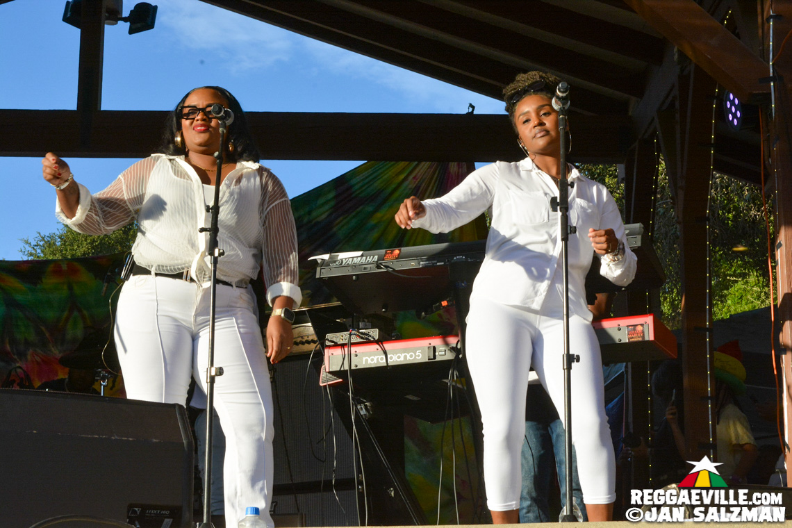 Julian Marley, Arise Roots