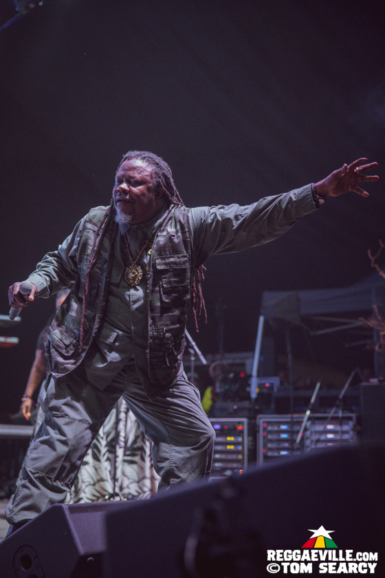 Alborosie, Luciano, Yellowman, Charly Black