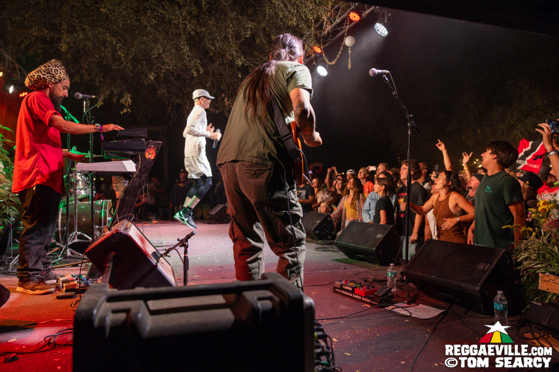Alborosie, Luciano, Yellowman, Charly Black