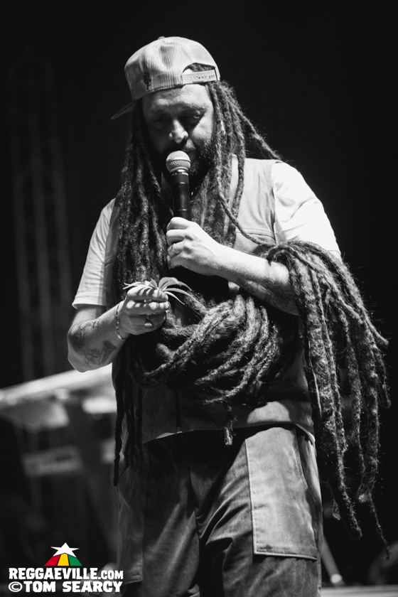 Alborosie, Luciano, Yellowman, Charly Black
