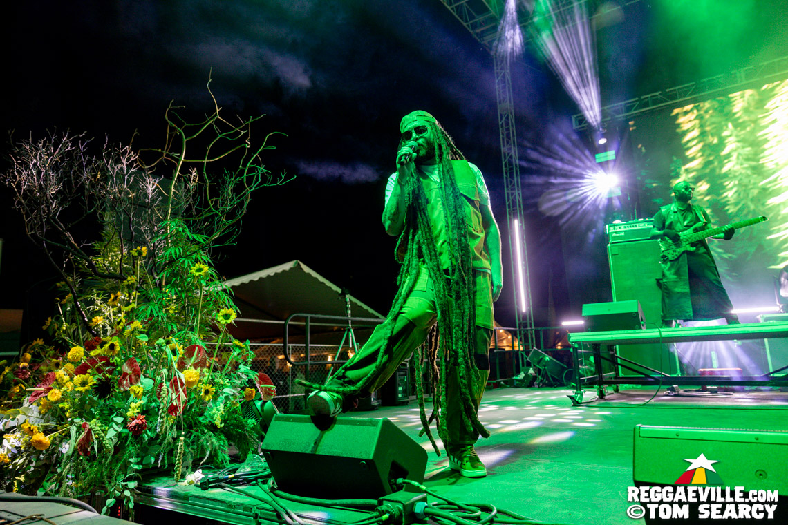Alborosie, Luciano, Yellowman, Charly Black