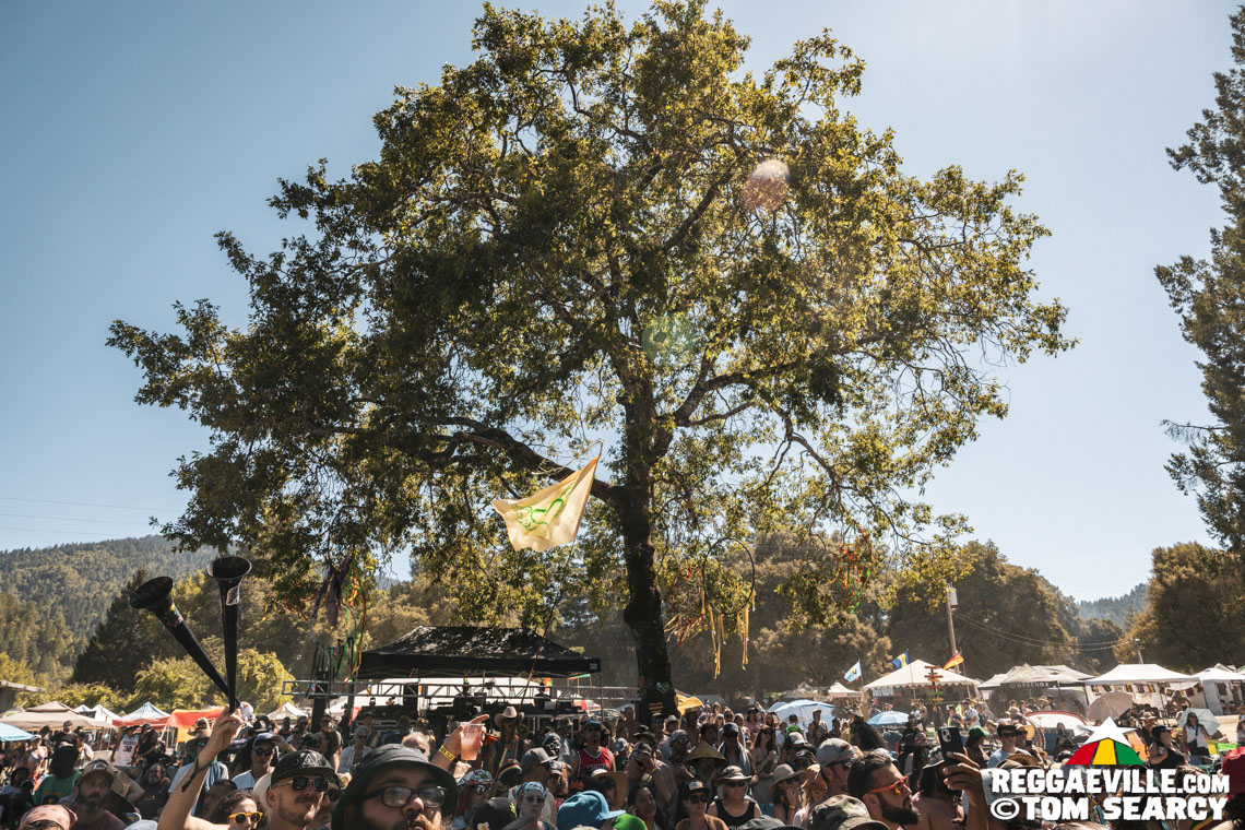 Hempress Sativa, Turbulence, M Dot R