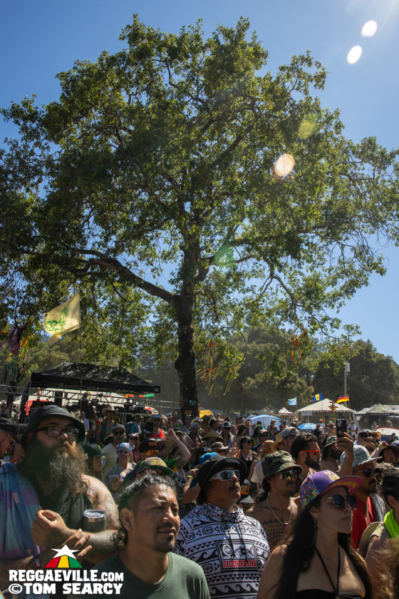 Hempress Sativa, Turbulence, M Dot R