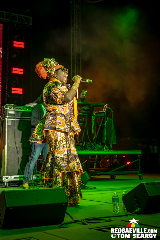 Busy Signal, Third World, T.O.K, Queen Omega