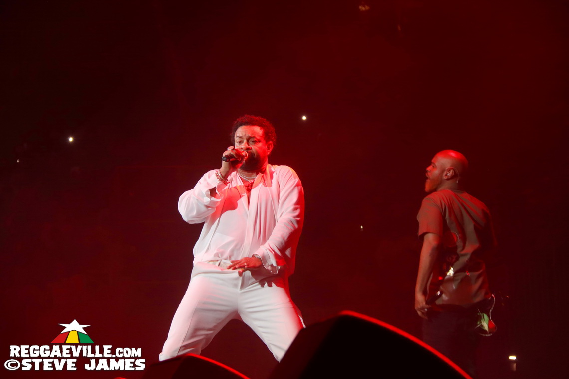 Beres Hammond, Sean Paul, Shaggy