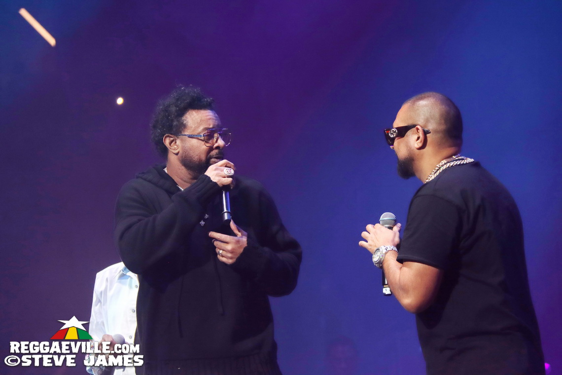 Beres Hammond, Sean Paul, Shaggy