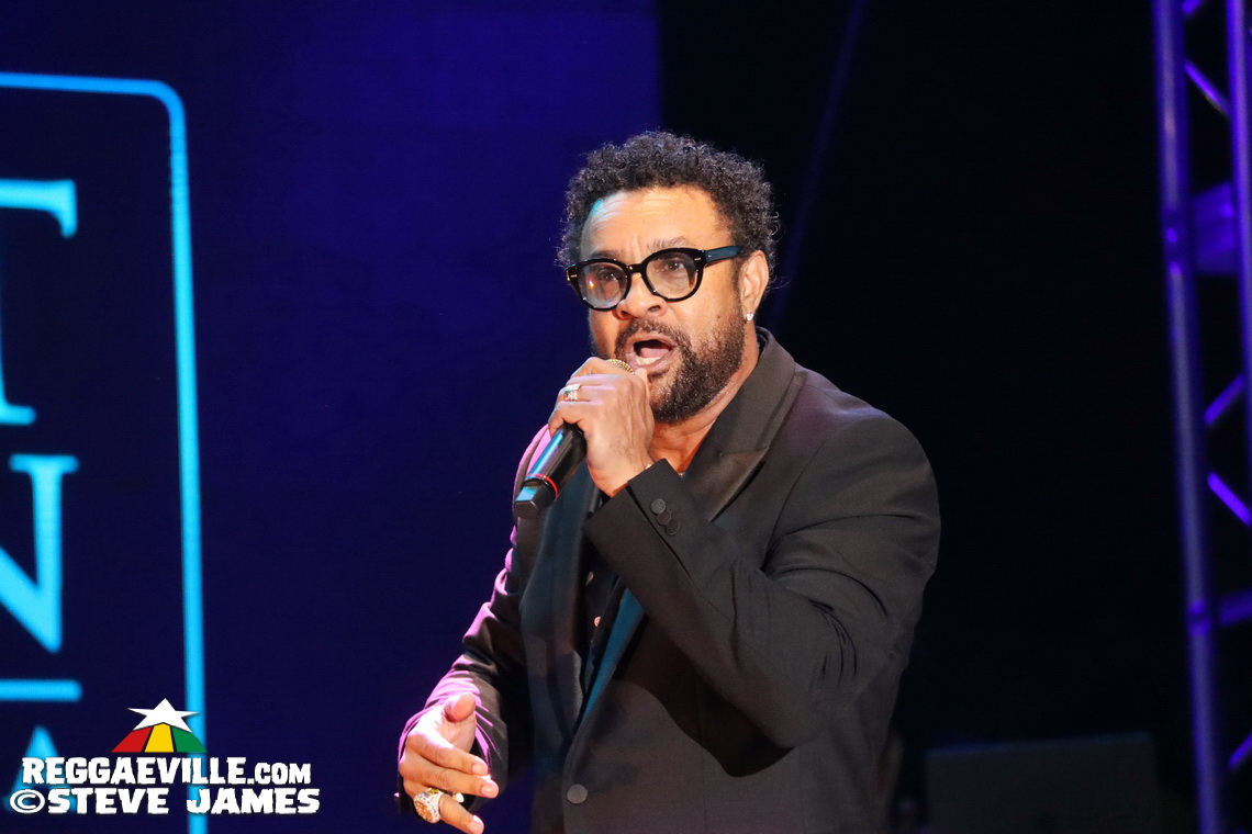 Shaggy, Lila Iké, Wayne Marshall, Tami Chin