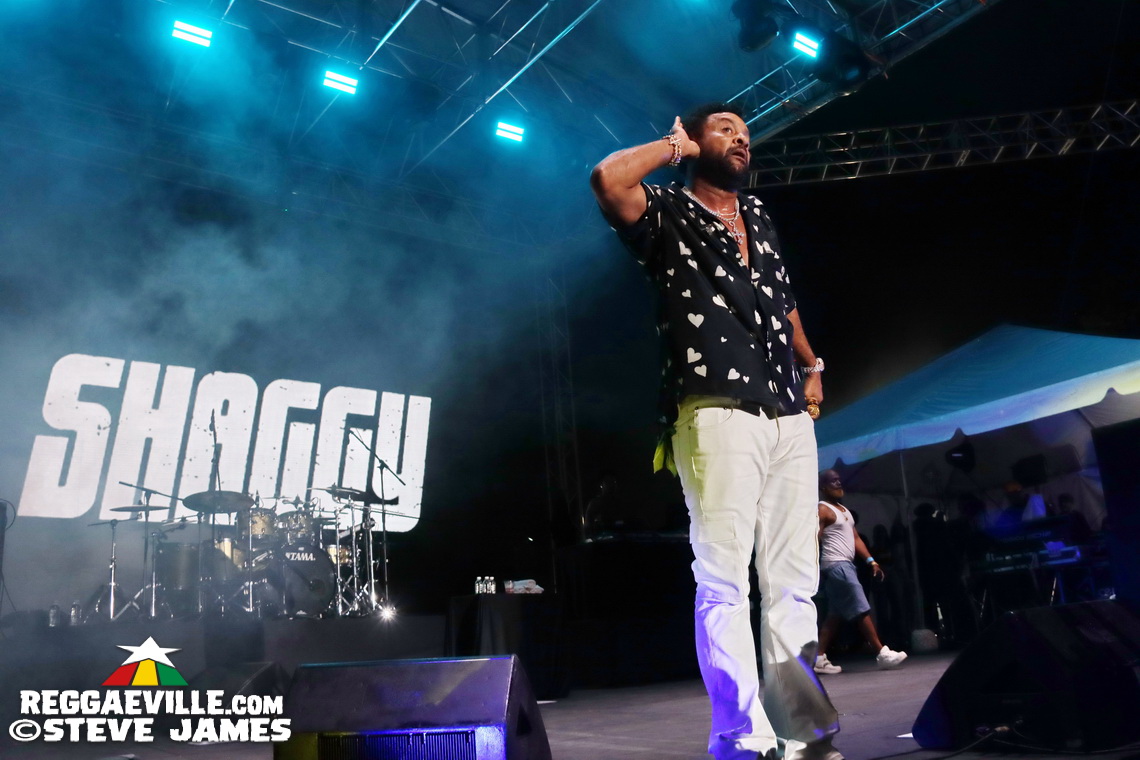 Shaggy, Lila Iké, Wayne Marshall, Tami Chin