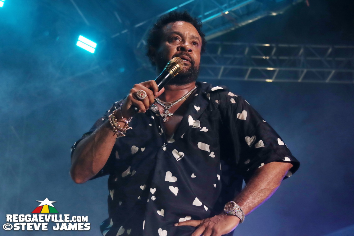 Shaggy, Lila Iké, Wayne Marshall, Tami Chin