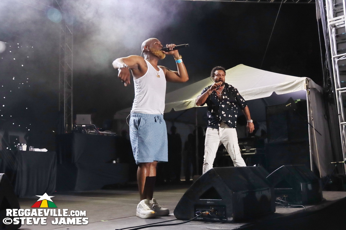 Shaggy, Lila Iké, Wayne Marshall, Tami Chin