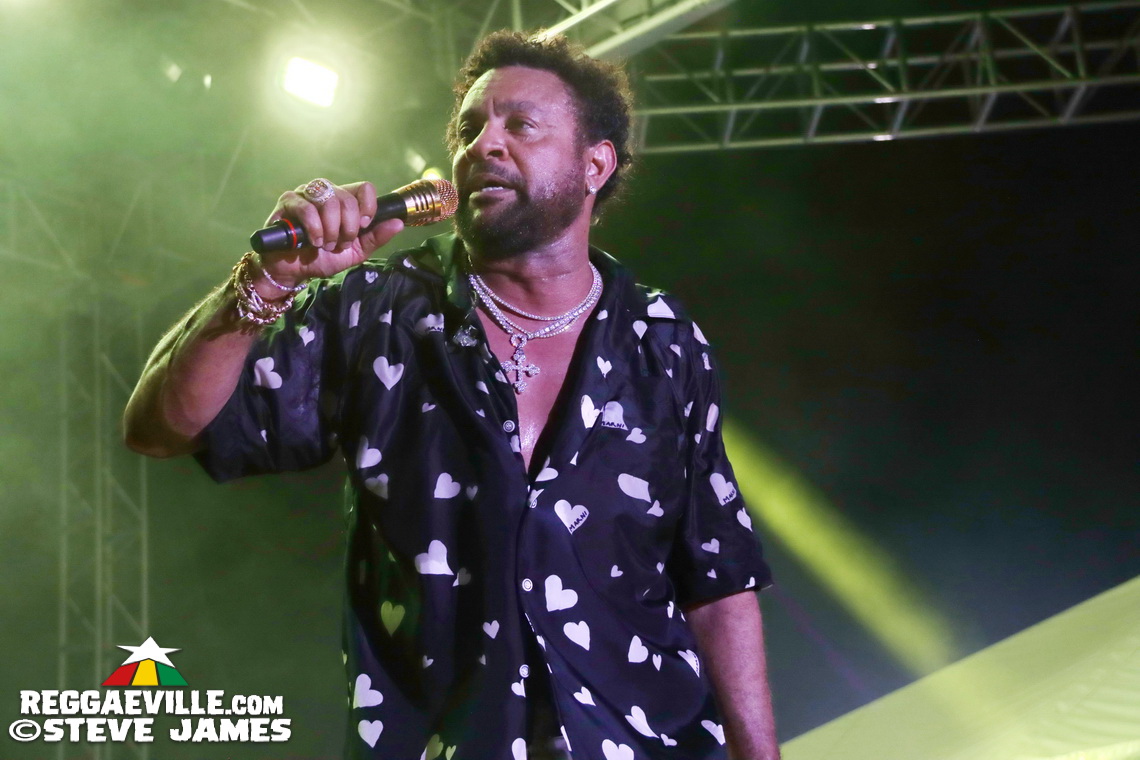 Shaggy, Lila Iké, Wayne Marshall, Tami Chin