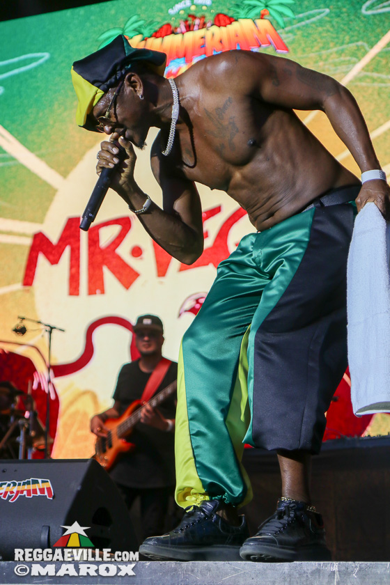 Mr. Vegas, Alborosie, Etana