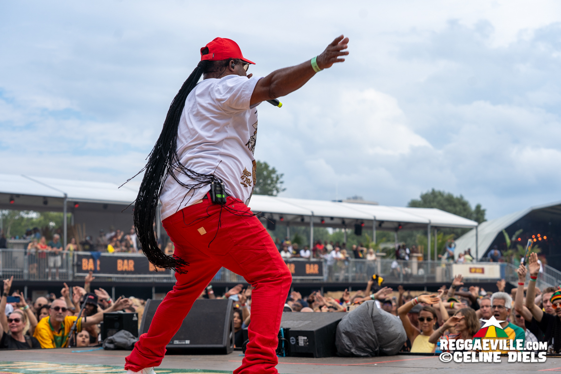 Morgan Heritage, Inner Circle, The Congos