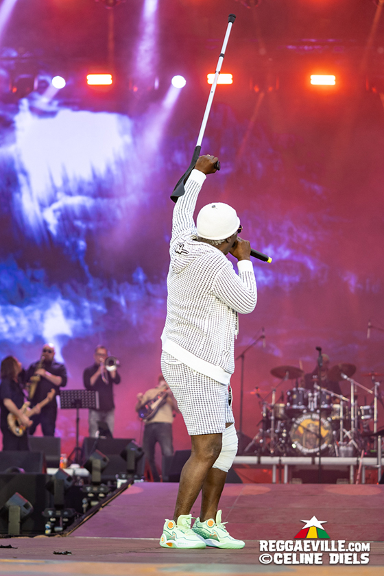 Alpha Blondy, Capleton, Teejay