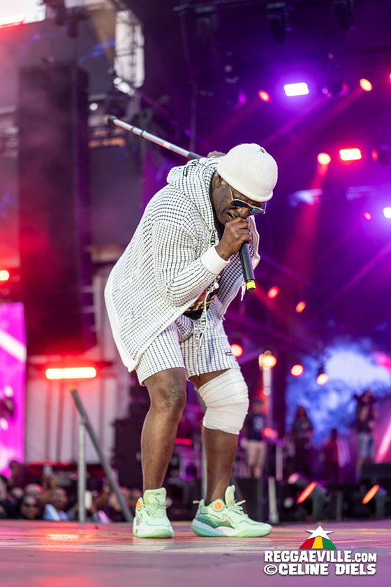 Alpha Blondy, Capleton, Teejay