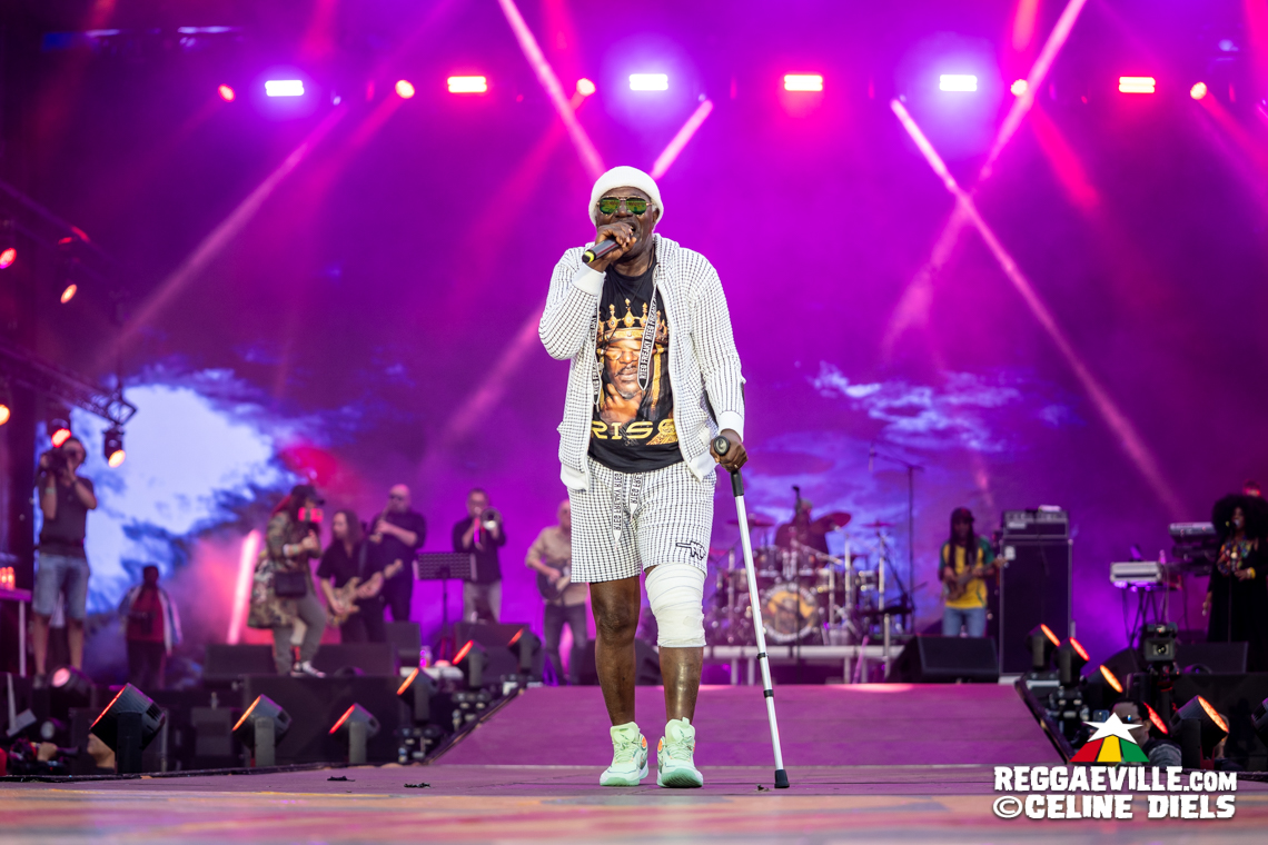 Alpha Blondy, Capleton, Teejay