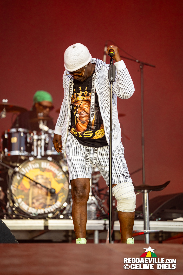 Alpha Blondy, Capleton, Teejay